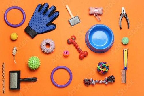 Set of pet toys and accessories on color background