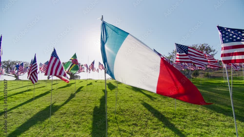 Flag of FRANCE waving in wind with many American flags on motion background on golden sunset hour with sun flare. National French flag visualizing independence, financial economy, business partnership Flag of FRANCE waving in wind with many American flags on motion background on golden sunset hour with sun flare. National French flag visualizing independence, financial economy, business partnership