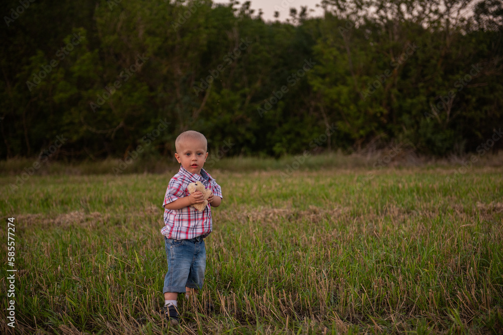 Little boy in cage shirt hugs soft toy. Todder with emotions walks in mowing green-yellow field Little boy in cage shirt hugs soft toy. Todder with emotions walks in mowing green-yellow field