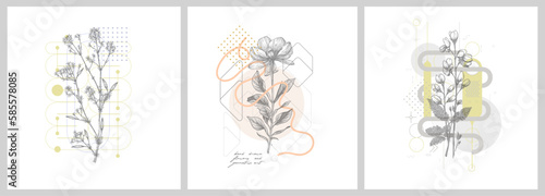 Foliage line art drawing with geometric shape. Hand drawn flowers and geometric art. Set of vector illustration.