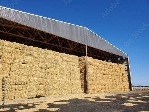 Angled view of a hay barn full of hay bales