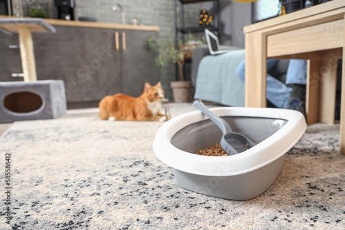 Litter box for cat on floor...
