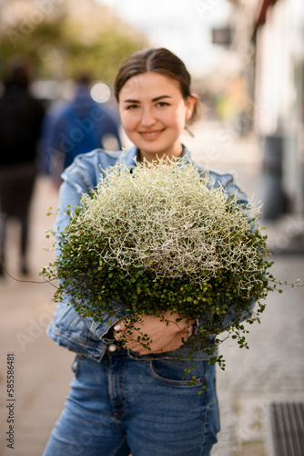 woman holding pot with leucophyta and green soleirolia plants in her hands photo