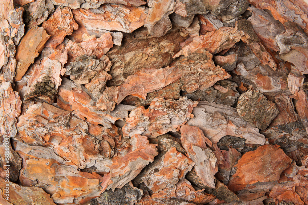Many tree bark pieces as background, closeup Many tree bark pieces as background, closeup