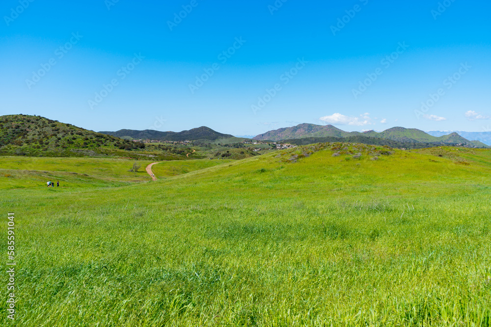 Clear blue skies and lush green grass after lots of rain in Southern California. Pictures taken midday during a hike in Spring season at Rancho Sierra Vista/Satwiwa