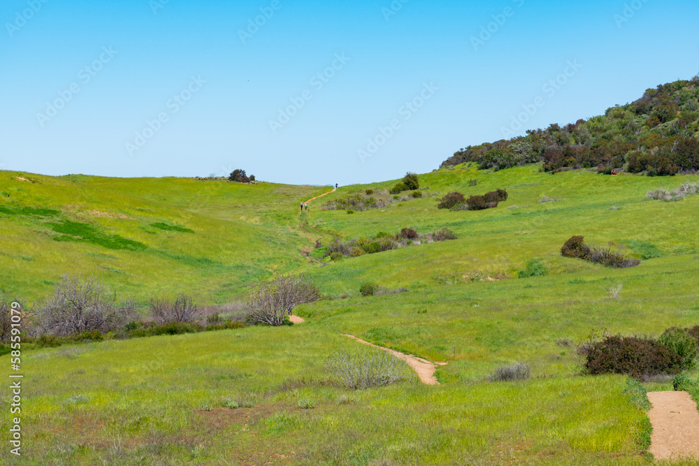 Clear blue skies and lush green grass after lots of rain in Southern California. Pictures taken midday during a hike in Spring season at Rancho Sierra Vista/Satwiwa Clear blue skies and lush green grass after lots of rain in Southern California. Pictures taken midday during a hike in Spring season at Rancho Sierra Vista/Satwiwa