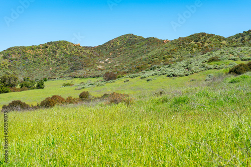 Clear blue skies and lush green grass after lots of rain in Southern California. Pictures taken midday during a hike in Spring season at Rancho Sierra Vista/Satwiwa photo