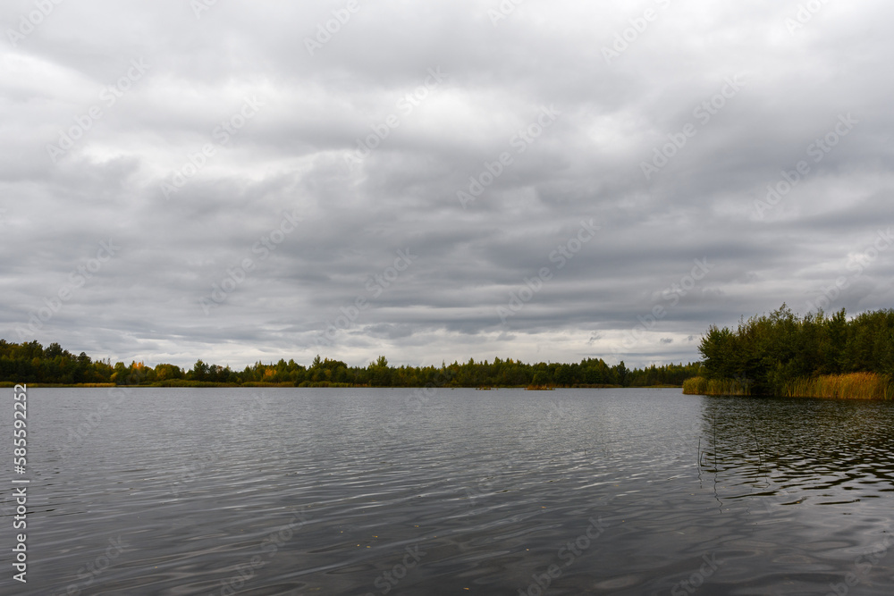 Landscape of autumn forest lake. The shore of the reservoir is overgrown with yellowed reeds and cattails. The pond is surrounded by deciduous forest. Cloudy sky Landscape of autumn forest lake. The shore of the reservoir is overgrown with yellowed reeds and cattails. The pond is surrounded by deciduous forest. Cloudy sky