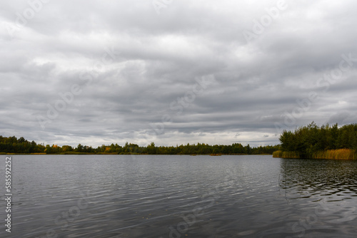 Landscape of autumn forest lake. The shore of the reservoir is overgrown with yellowed reeds and cattails. The pond is surrounded by deciduous forest. Cloudy sky