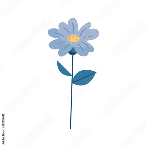 blue flower garden