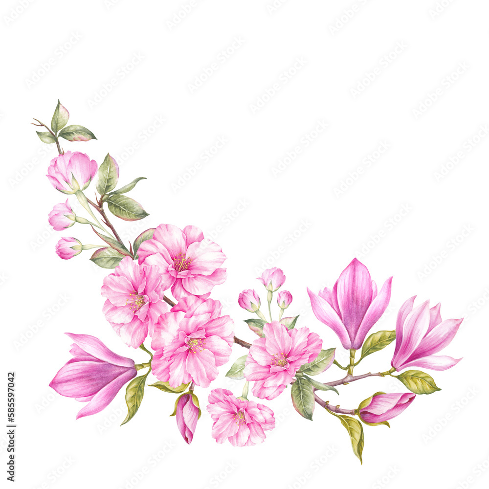 Differents flower magnolia and sakura on white background. Watercolor floral illustration Differents flower magnolia and sakura on white background. Watercolor floral illustration