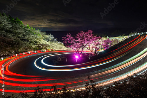 Night sakura and light trail in Japan