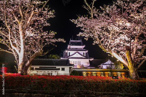 Japanese castle and sakura at night time