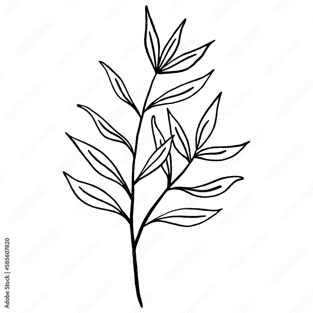 Fototapeta premium Floral leaf line art element for wedding card, invitation card, poster, logo design and more.