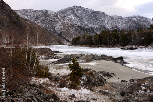 Young pine and several birch trees on the rocky bank of a beautiful frozen river flowing through a valley in the mountains with snow-capped peaks.