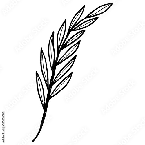 Floral leaf element for wedding card  invitation card  poster  logo design and more.