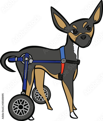 Dog wheelchair pet leg disability