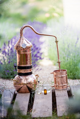 Distillation of lavender essential oil and hydrolate. Copper alambic for the flowering field.