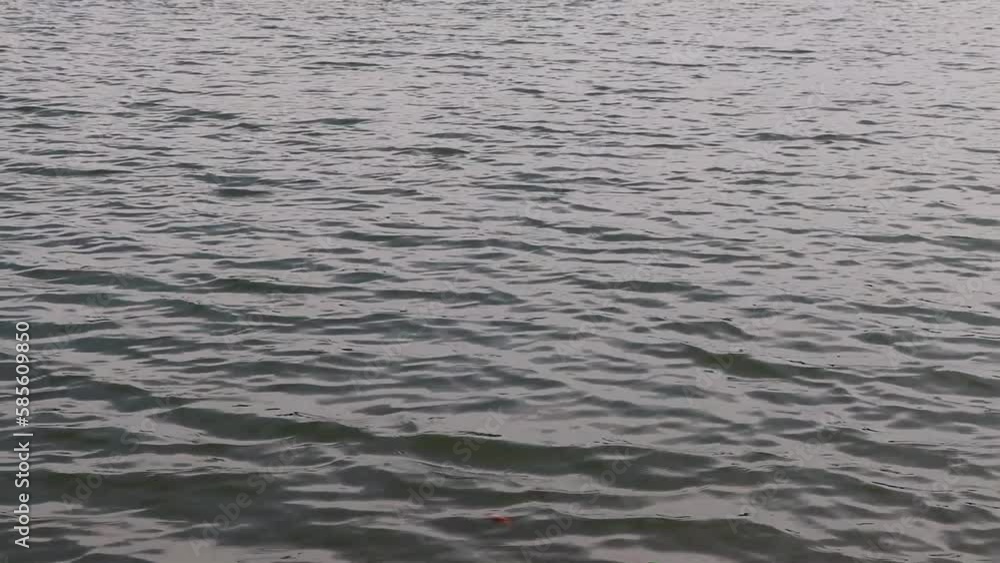 穏やかに水が揺れる静かな情景 穏やかに水が揺れる静かな情景