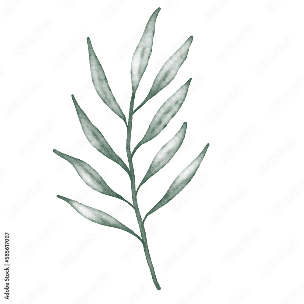 Fototapeta premium Green watercolor leaf hand painted for greeting card decoration and invitation card.