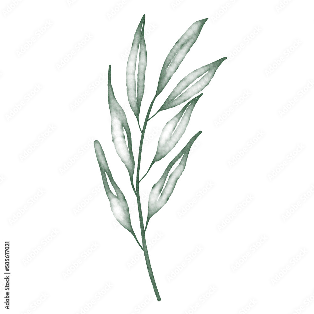 Fototapeta premium Green watercolor leaf hand painted for greeting card decoration and invitation card.