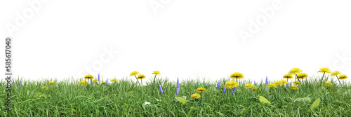 Green grass and flower fields on transparent background 3d rendering png