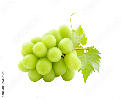 Cutout beautiful bunch of fresh green Shine Muscat grape with leaf isolated on transparent background