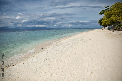 Fototapeta Naklejka Na Ścianę i Meble -  Dreamlike idyllic beach of Moalboal, Cebu in the Philippines with trees along the beach.