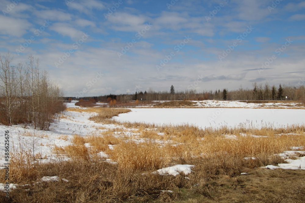 March On The Wetlands, Pylypow Wetlands, Edmonton, Alberta