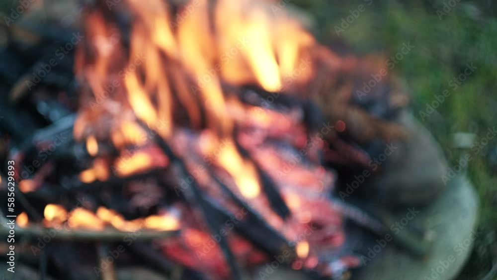 Selective focus of bonfire from old branches on sunny summer or spring day. Beautiful bonfire is burning in nature. Flame of fire and smoke over fire. Camping vibes and outdoor lifestyle mood concept Selective focus of bonfire from old branches on sunny summer or spring day. Beautiful bonfire is burning in nature. Flame of fire and smoke over fire. Camping vibes and outdoor lifestyle mood concept