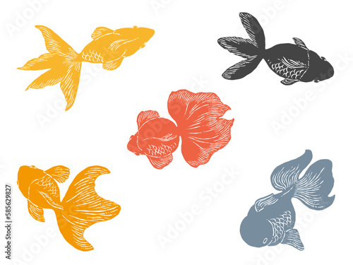金魚の線画イラスト素材