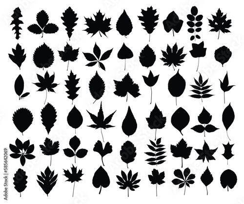 A set of silhouettes leaves of trees and shrubs.