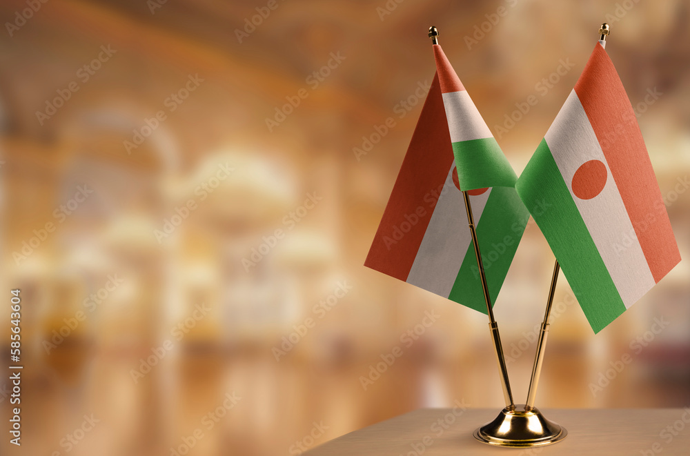 Small flags of the Niger on an abstract blurry background