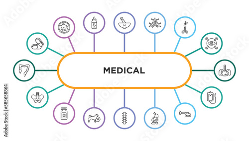 medical outline icons with infographic template. thin line icons such as medicine capsules, medicines bowl, molecular structure, opened medical scissors, breath control, pelvic area, pills jar,