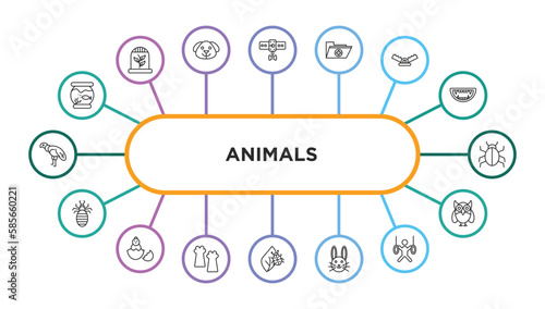 animals outline icons with infographic template. thin line icons such as fishbowl, leash, medic folder, trap, app bug, louse, baby chicken, leg, bug on leaf, cute bunny head, trapeze artists, big