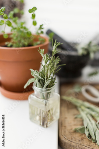 Sage leaves and rosemary in glass