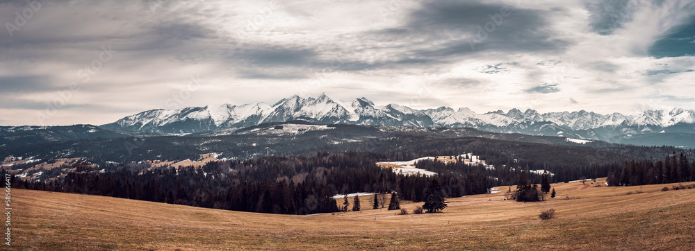 View of the panorama of the Tatra Mountains from the Łapszanka pass. Early spring. Snow-covered peaks of the Tatras, melting snow in the mountain pastures.