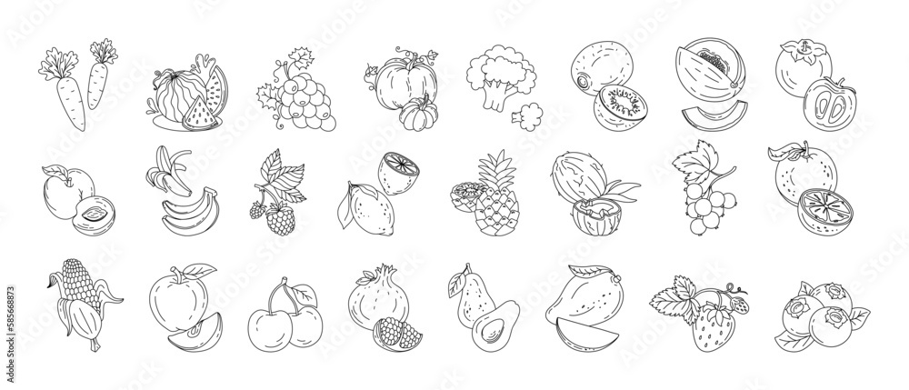 Fruits and berries doodle set Vector black and white illustration isolated on a white background