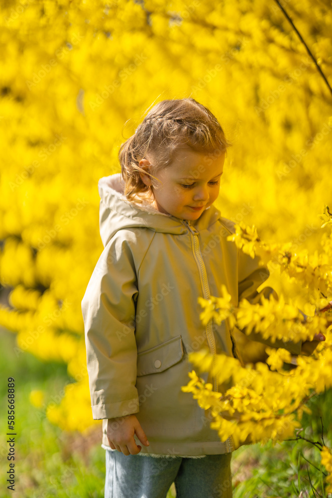 Little girl outdoor portrait in front of Forsythia bush in Prague park, Europe Little girl outdoor portrait in front of Forsythia bush in Prague park, Europe
