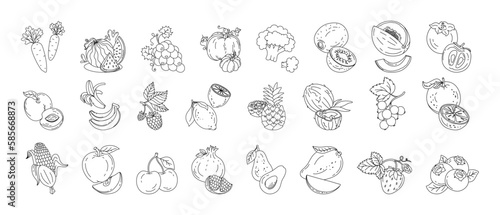 Fruits and berries doodle set Vector black and white illustration isolated on a white background