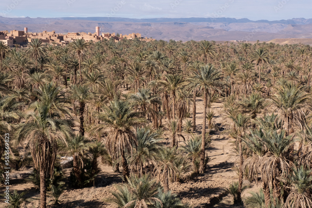 A small barbarian village in the atlas mountains surrounded by date palms along the road from marrakesh to the sahara desert in morocco A small barbarian village in the atlas mountains surrounded by date palms along the road from marrakesh to the sahara desert in morocco