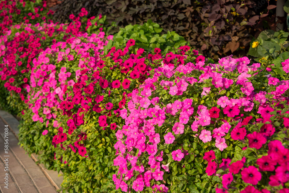 Beautifully arranged flowers in a garden, flower decoration outdoors Beautifully arranged flowers in a garden, flower decoration outdoors