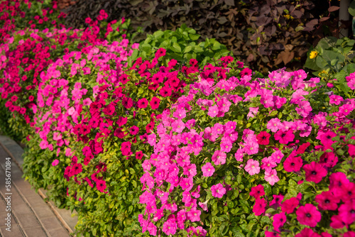 Beautifully arranged flowers in a garden, flower decoration outdoors