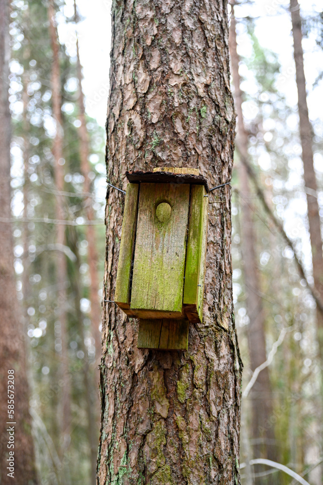 old broken nesting box hanging alone on tree trunk old broken nesting box hanging alone on tree trunk