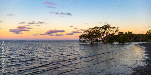 amazing colourful sunset at nudgee beach, brisbane, queensland, australia; mangroves in boondall wetlands, famous beach over moreton bay