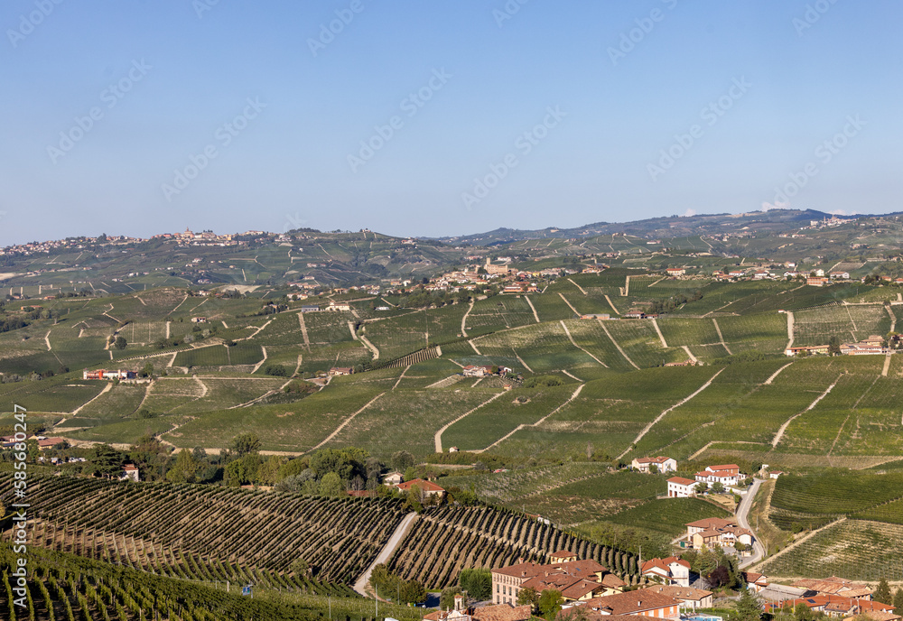 Langhe vineyards near Barolo Unesco Site, Piedmont, Italy
