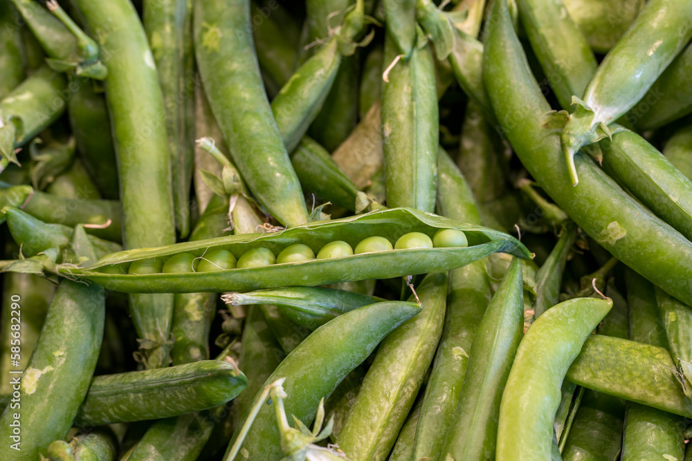 A pile of shelled peas. Close up of green fresh peas and pea pods.