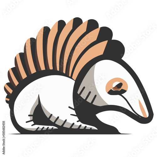 Armadillo animal, vector isolated on transparent background