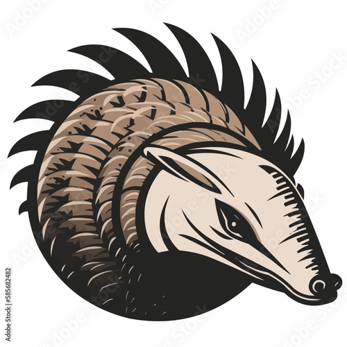 Armadillo animal, vector isolated on transparent background