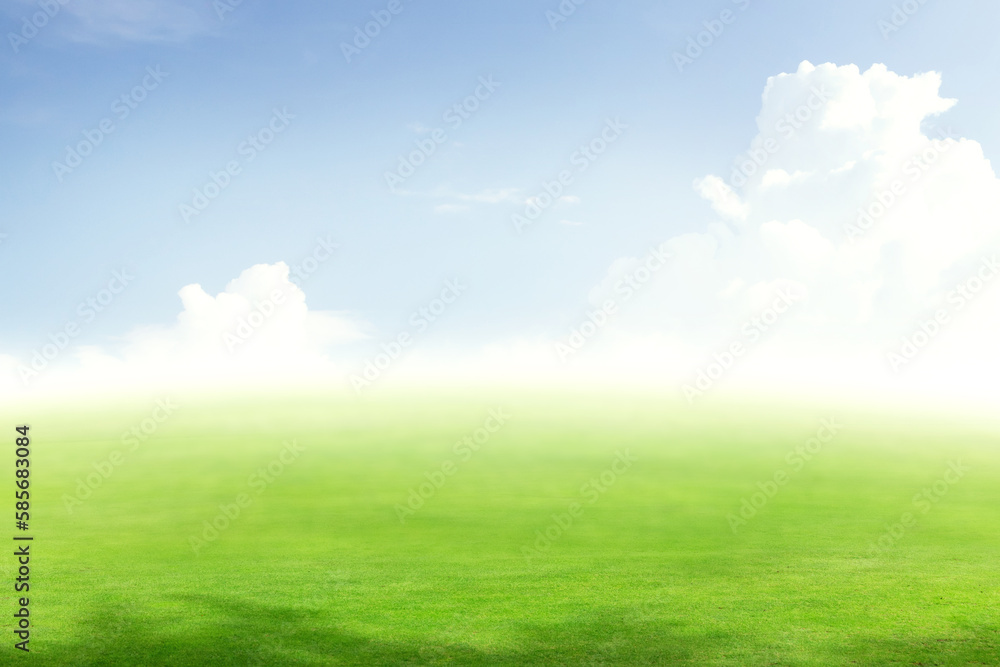 Lush green summer landscape with field and sky